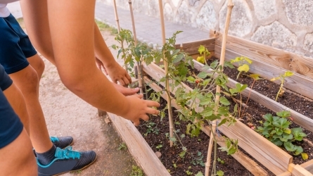 Cambio climático, alimentación y gastronomía