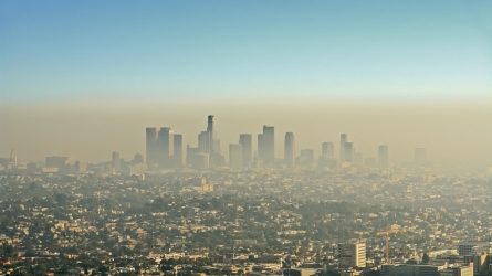 Las ciudades ante el cambio climático 