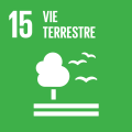 15. Vida de ecosistemas terrestres